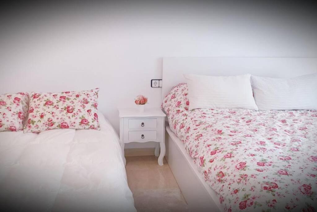 Apartamento Pepa. En El Corazon Del Delta. Sant Jaume d'Enveja Exterior photo